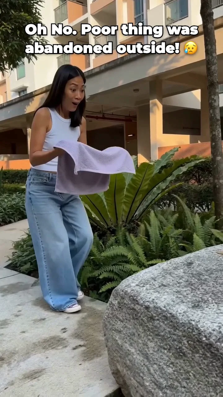 An unexpected discovery